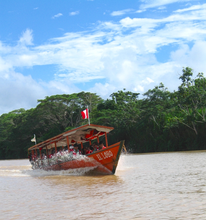 Amazon jungle river boat