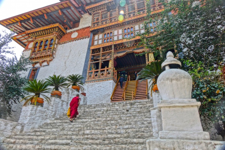 18 Dzong Steps 9743