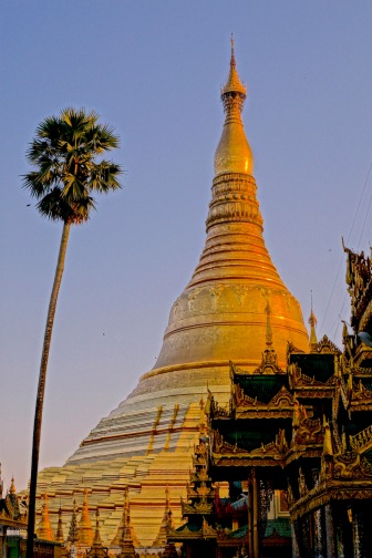 14 Pagoda 7518