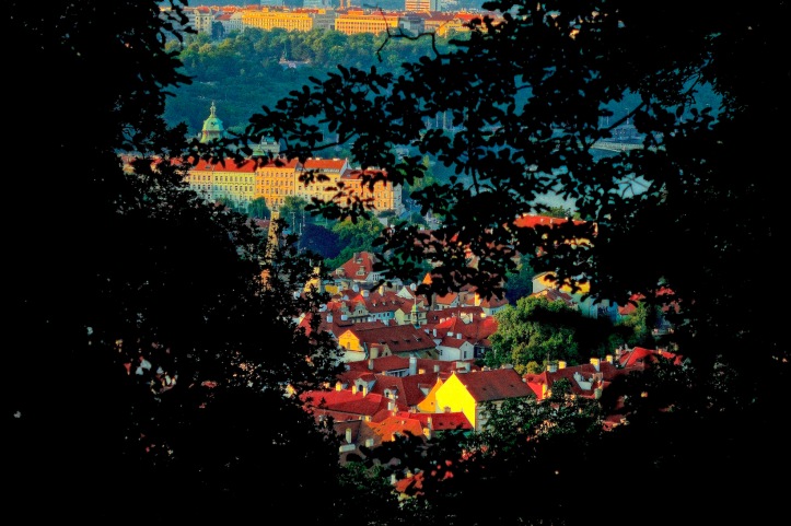 Petrin Hill view of Prague - night with trees