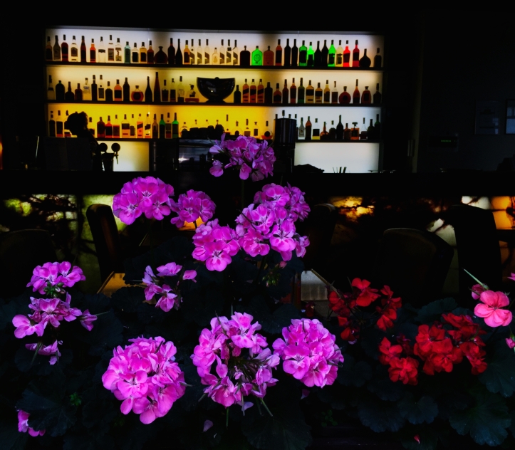 bar with flowers night - Prague