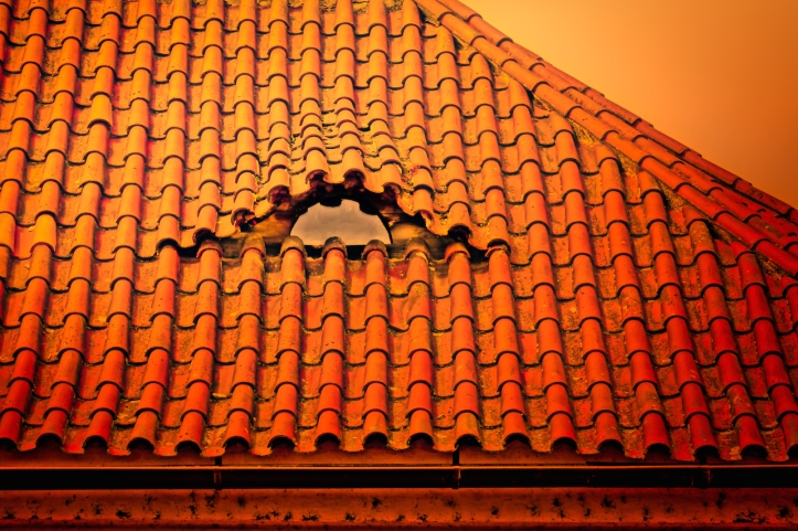tile roof in Prague