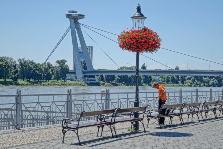 UFO Bridge in Bratislava with flowers