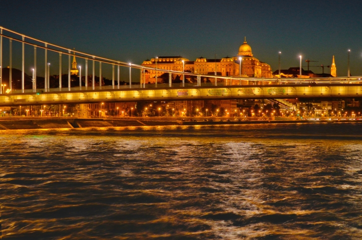 Liberty Bridge Budapest night
