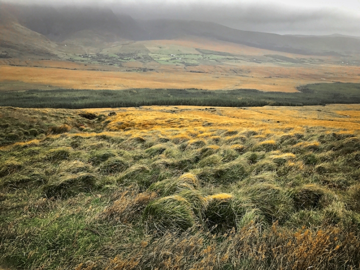 Ireland grasslands autumn colors