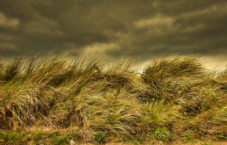 Ireland grass autumn storm colors
